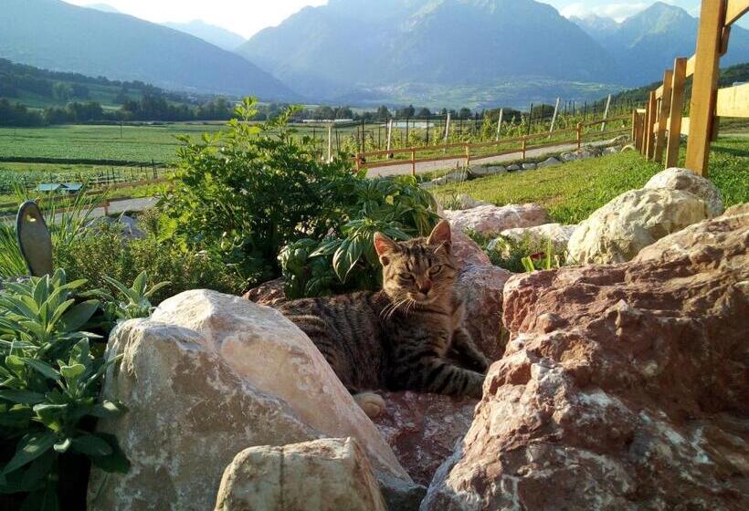 فندق Agriturismo Maso Pertener  Adults Only