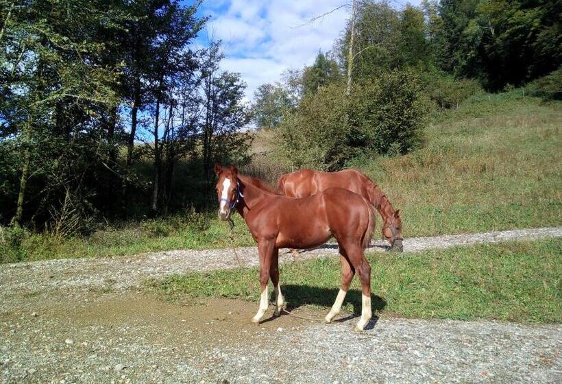 فندق Agriturismo Maso Pertener  Adults Only