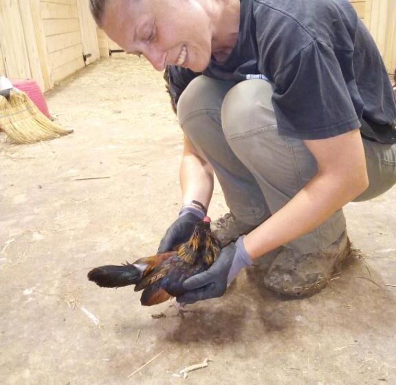 فندق Agriturismo Maso Pertener  Adults Only