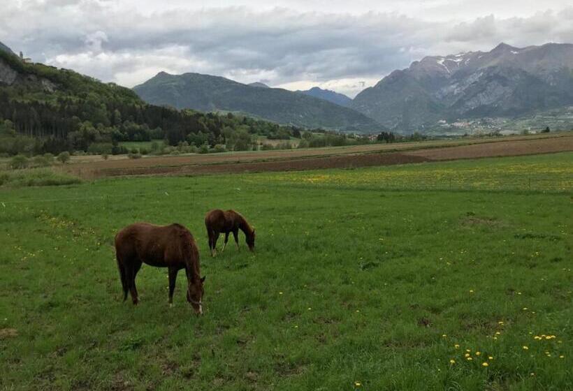 فندق Agriturismo Maso Pertener  Adults Only