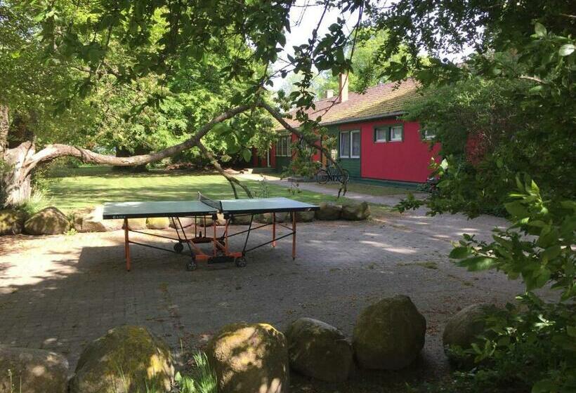 酒店 Ferien Im Gutspark Schwarbe Mit Re