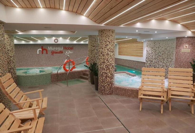 هتل Muresul Health Spa