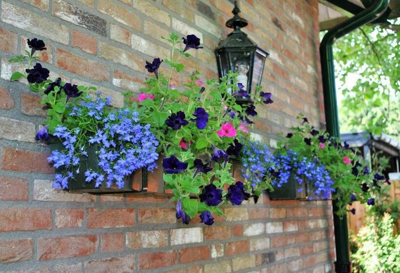 پانسیون Elegance Hamont