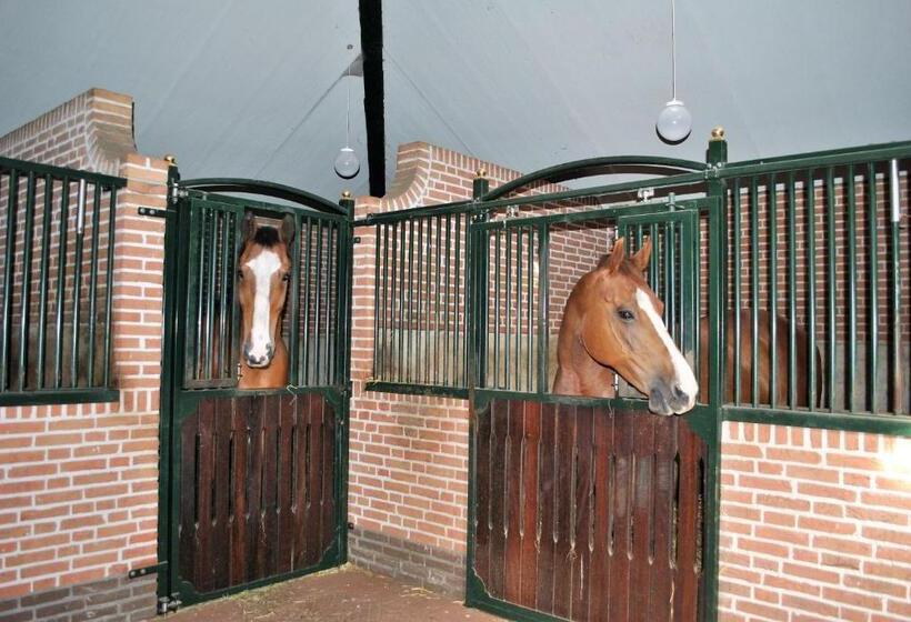 پانسیون Elegance Hamont