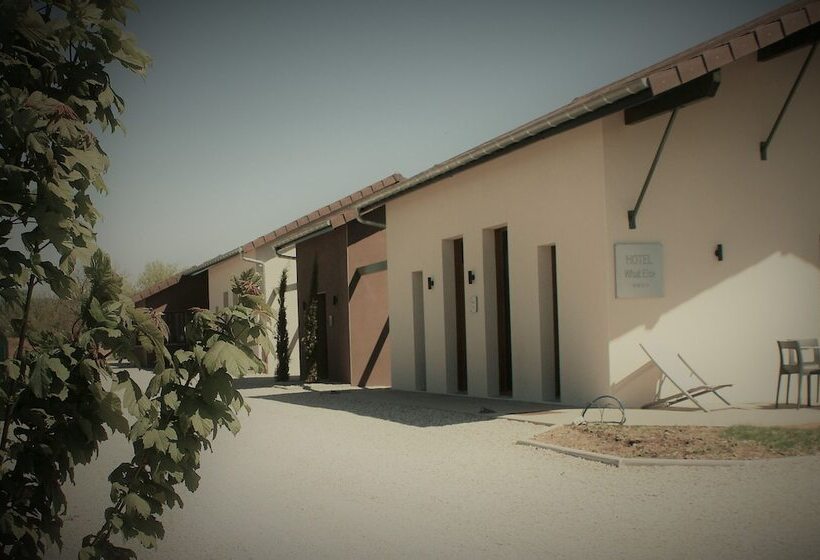 Bio Motel