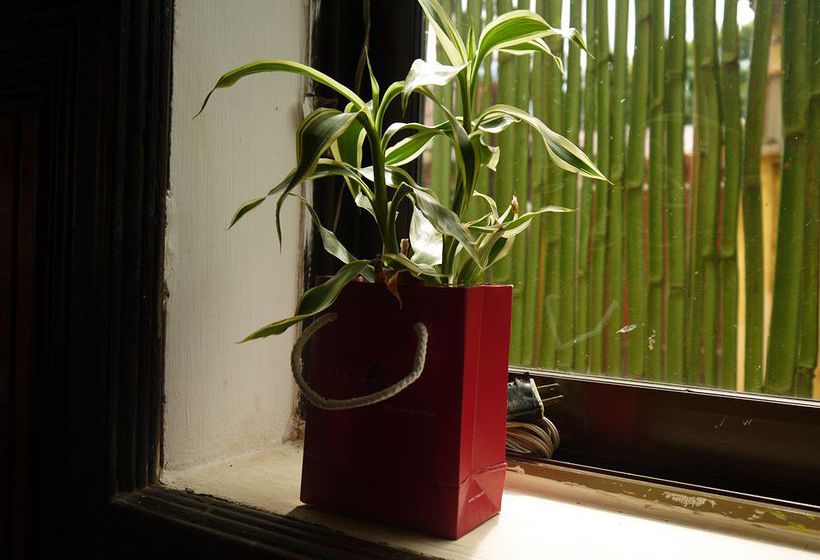 فندق Angkor Dream Villa