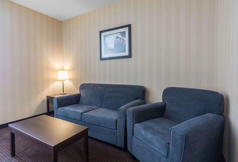 בית מלון כפרי Comfort Inn & Suites