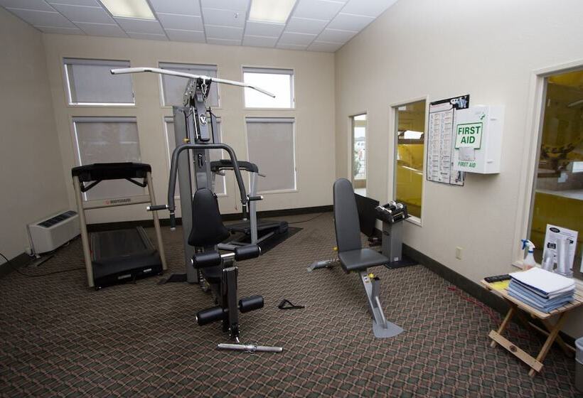 בית מלון כפרי Service Plus Inns & Suites Drayton Valley