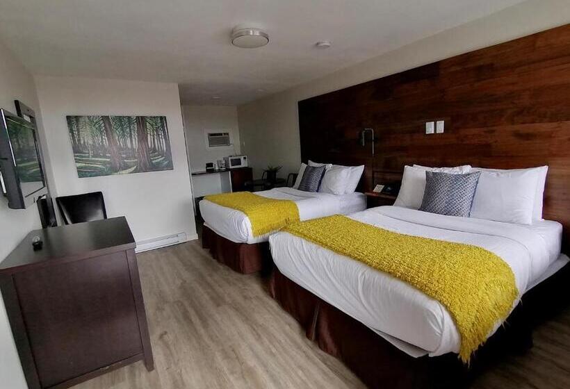 汽车旅馆  Snow Valley Lodging