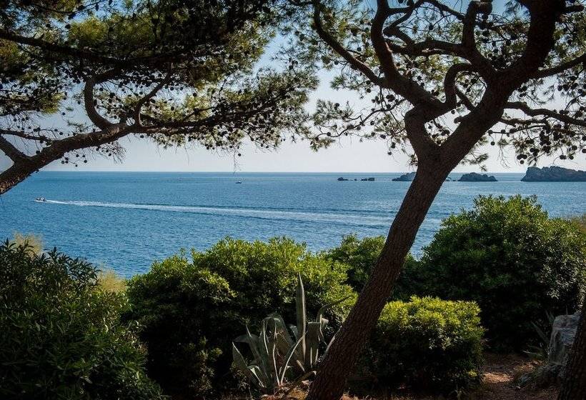 בית מלון כפרי Royal Palm