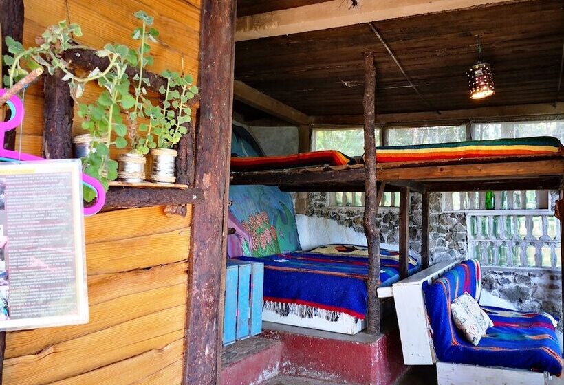 هتل Cabañas Campamento Tlatempa   Hostel