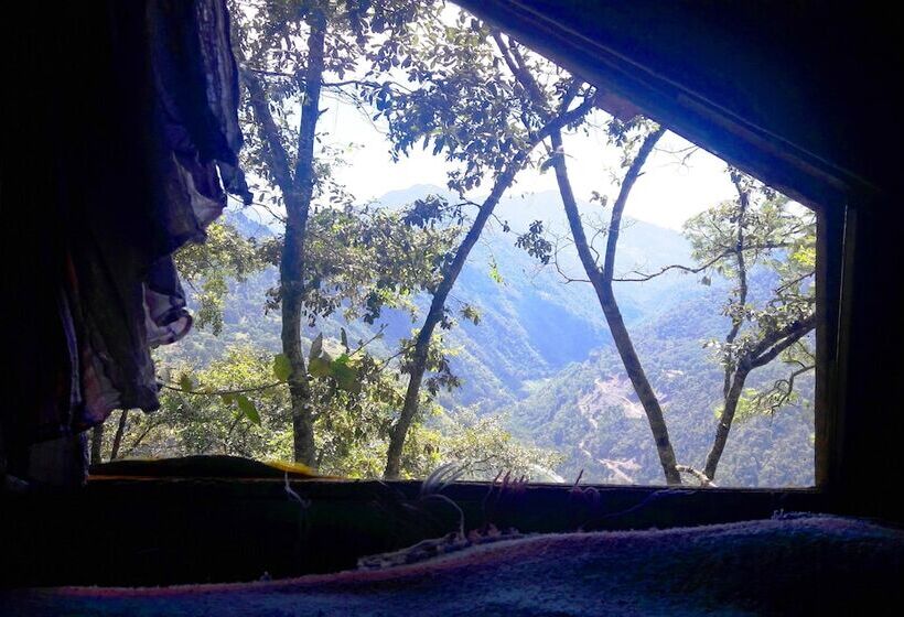 هتل Cabañas Campamento Tlatempa   Hostel