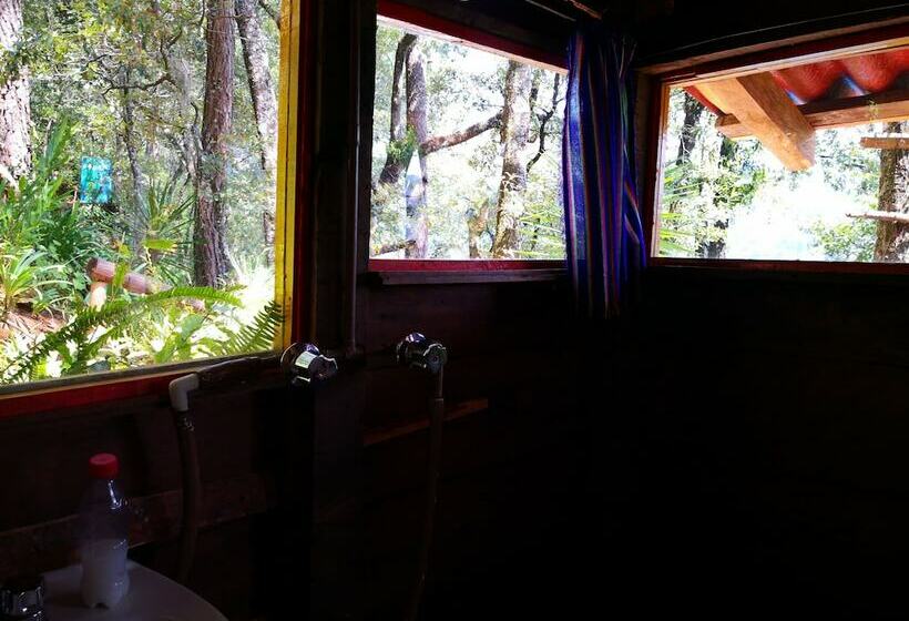 هتل Cabañas Campamento Tlatempa   Hostel