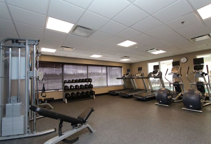 فندق Hampton Inn & Suites By Hilton St. John S Airport