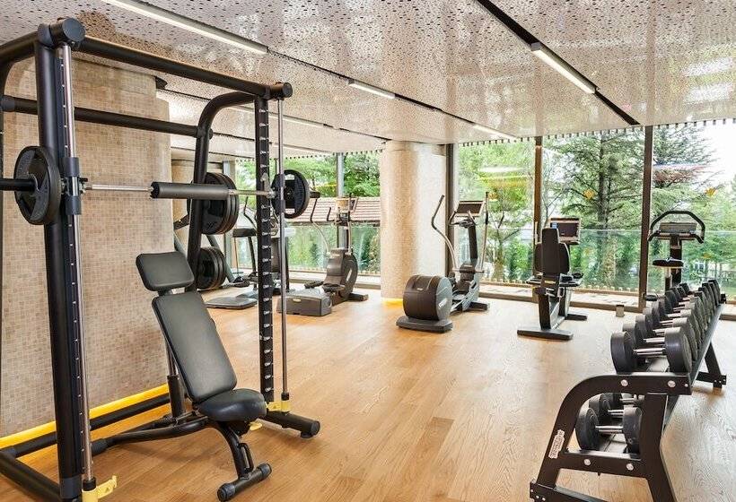 هتل Tasigo Eskisehir