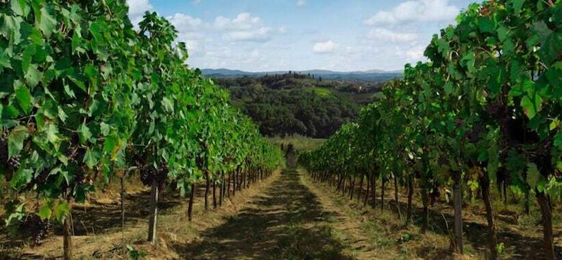 渡假胜地  Agriturismo Bio Fattoria Bacio