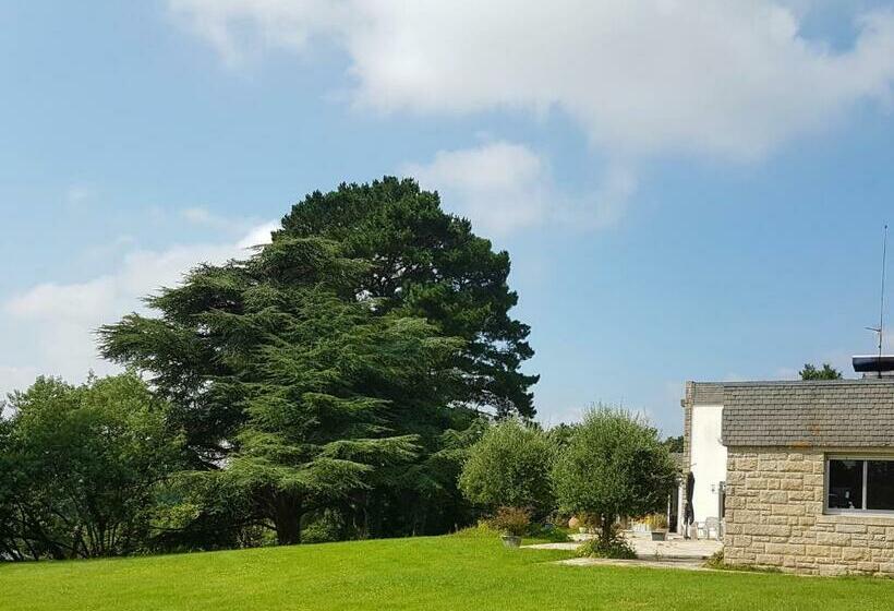 住宿加早餐  Domaine De La Chesnaie