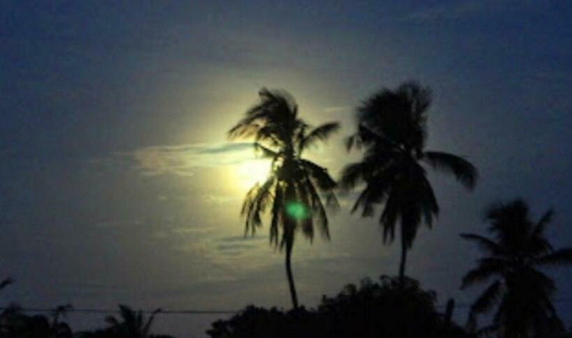 Hostel Trinco Bordima