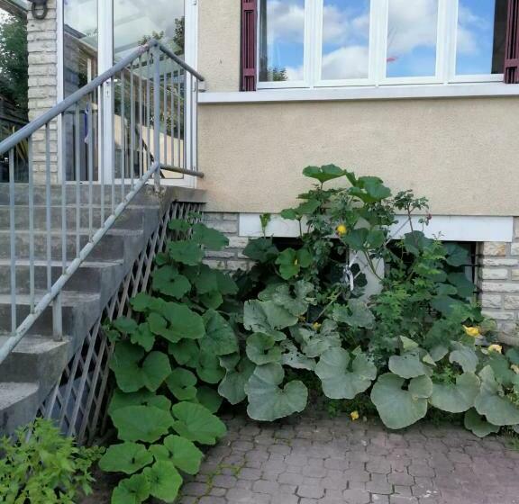 بنسيون Un Verger Dans La Ville