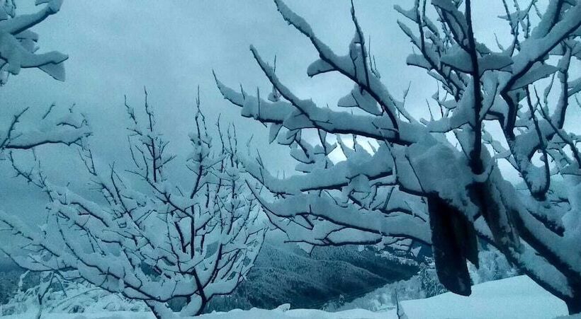 مبيت وإفطار Jomotel Talai