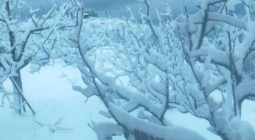 مبيت وإفطار Jomotel Talai