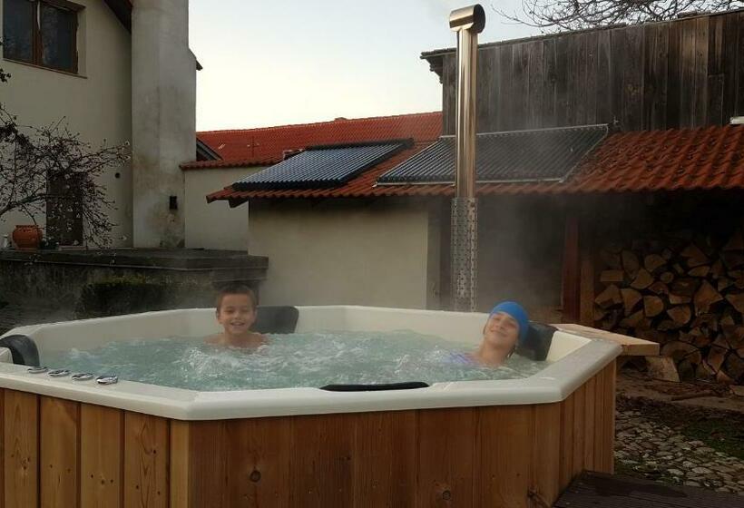 بنسيون Otto S Guesthouse