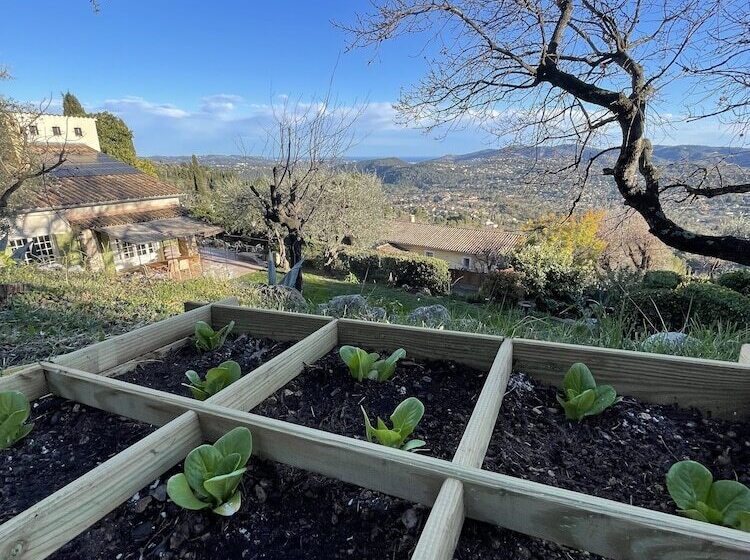 تختخواب و صبحانه Villa Daphné