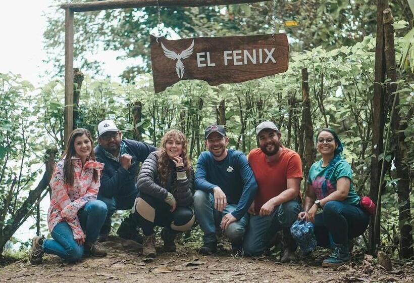 هتل El Fenix Coffee