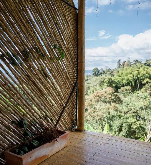 هتل El Fenix Coffee