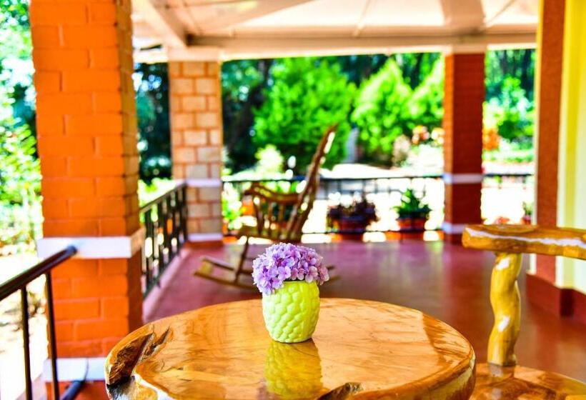 住宿加早餐  Niraamaya Blue Mountain  Chikmagalur