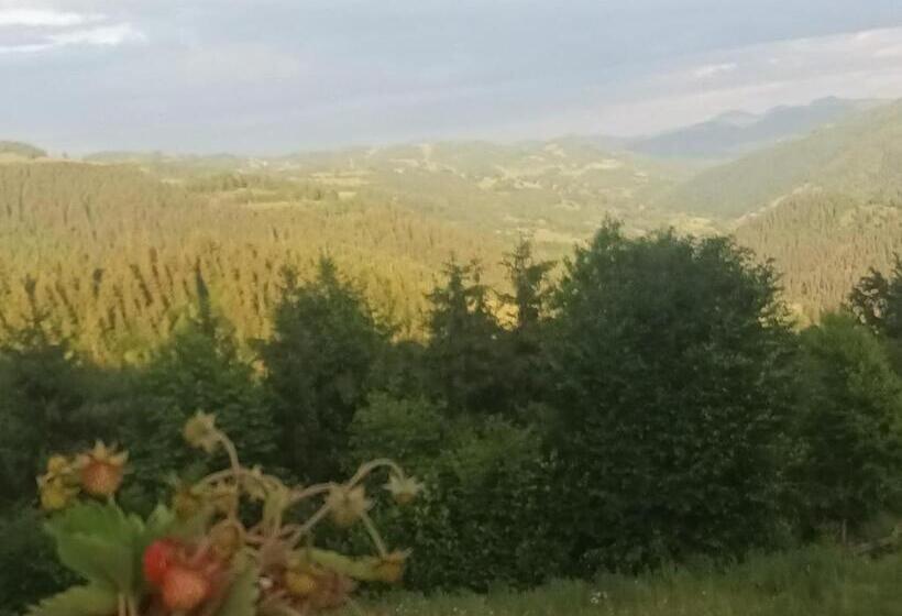 Pensiunea Agroturistica Acvila Apusenilor