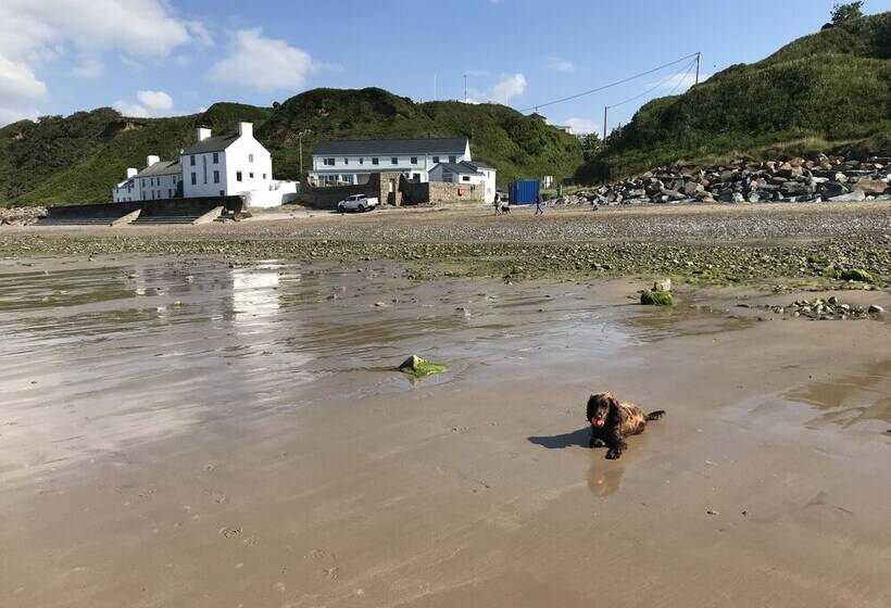 ベッドアンドブレックファースト Bryn Noddfa