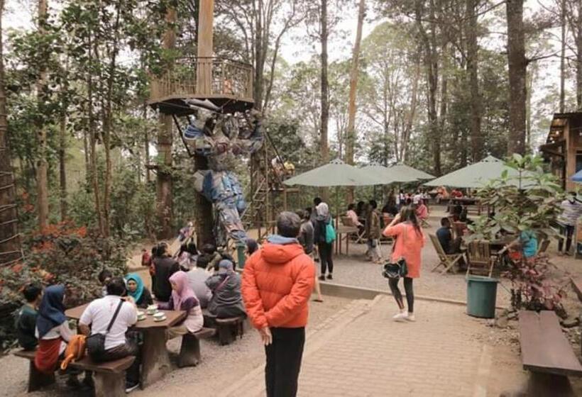 リゾートホテル Lawu Forest Camp