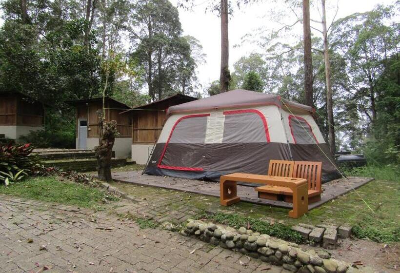 リゾートホテル Lawu Forest Camp