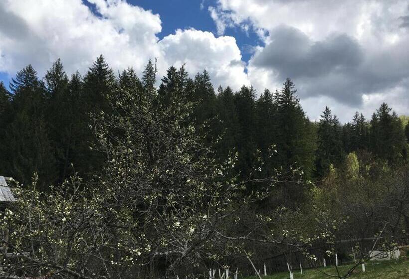 بنسيون Forest Vibes Spa