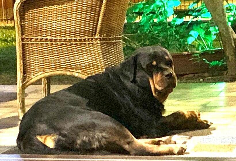 هتل Beach House Floripa