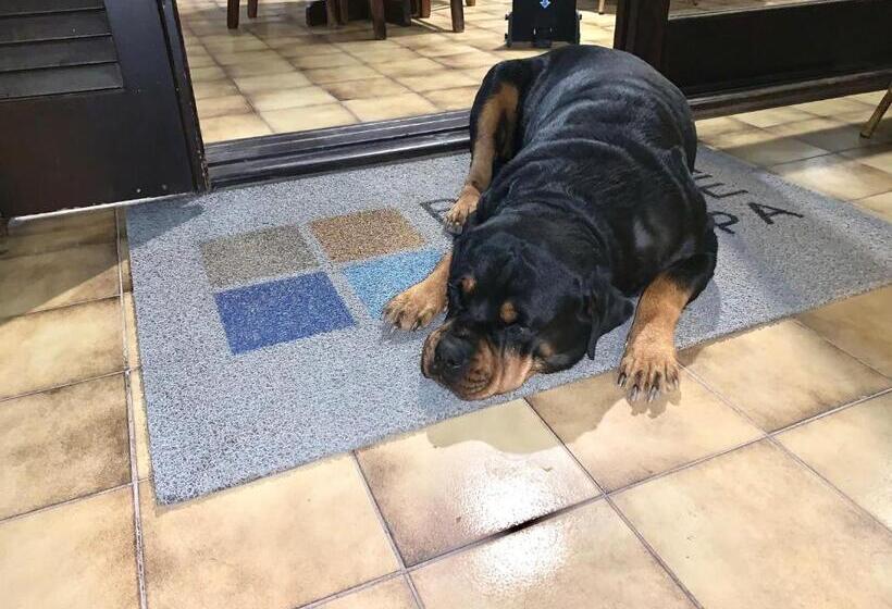 هتل Beach House Floripa