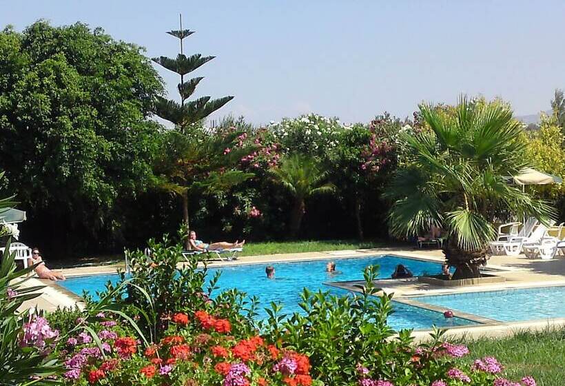 בית מלון כפרי Stork