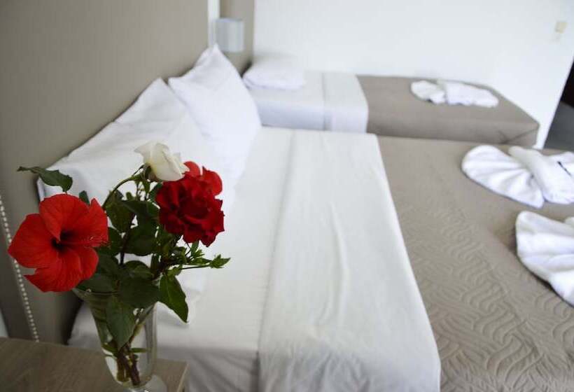 בית מלון כפרי Stork