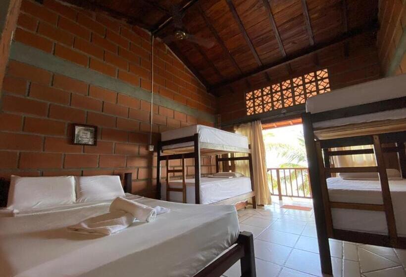 هاستل Katamaran