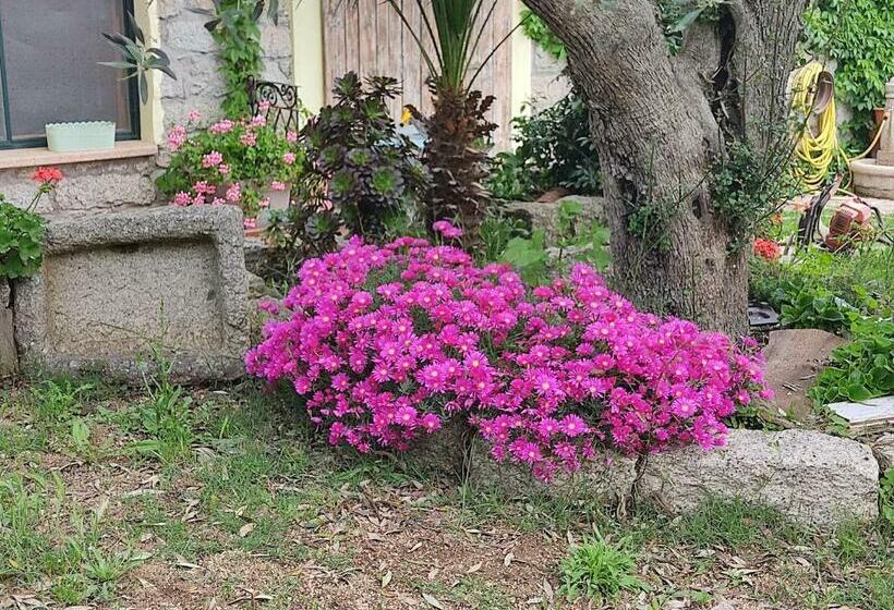 B&b San Michele
