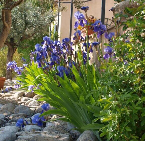 مبيت وإفطار Jardin D Antan