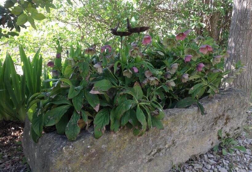 مبيت وإفطار Jardin D Antan