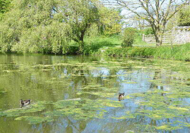 فندق La Ferme Des Mares, Demeures & Châteaux