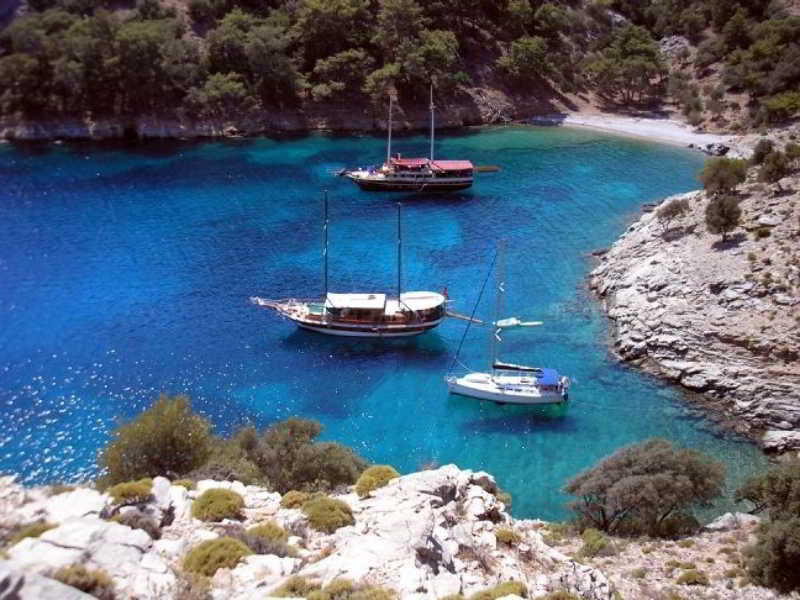 בית מלון כפרי Blessed With Love Of Aphrodite