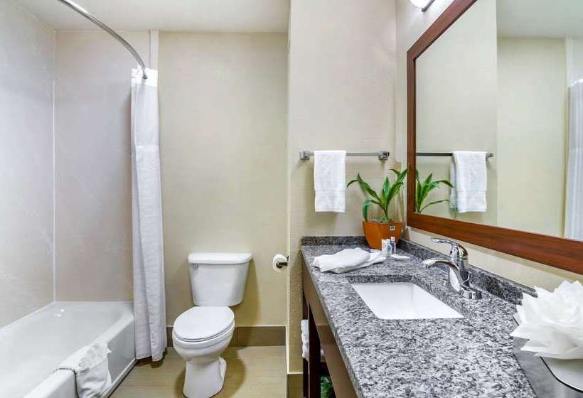 فندق Comfort Inn Ottawa
