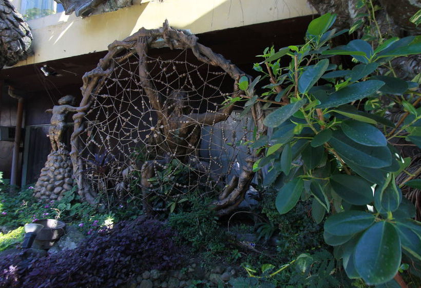 ホテル Ponce Suites Gallery