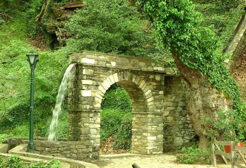 هتل The Lotus Tree