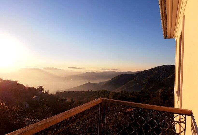 هتل The Lotus Tree