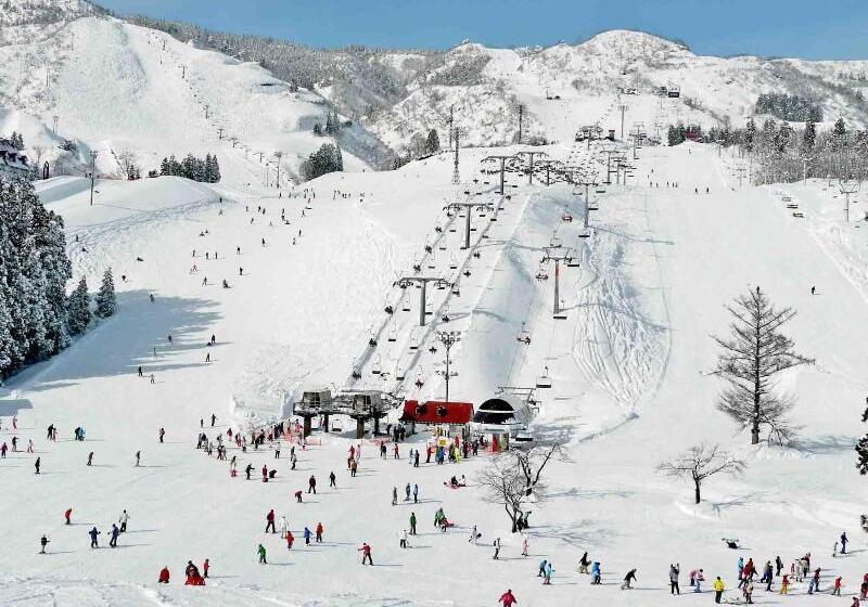 فندق Green Plaza Joetsu